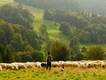 The Good Shepherd-new-church-attribute-to-biegun-wschodni