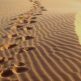 desertfootsteps